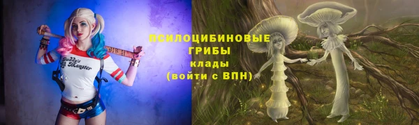 хмурый Алексин