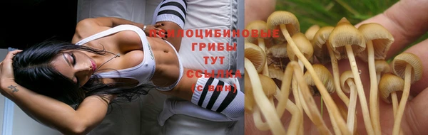 первитин Алексеевка