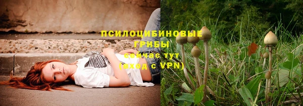 хмурый Алексин