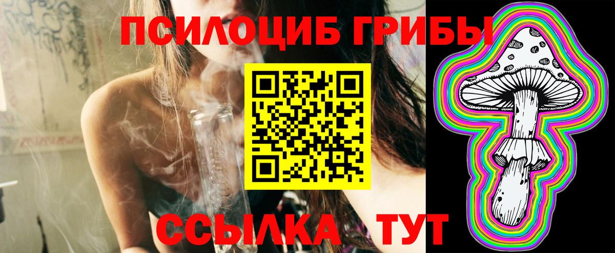 Псилоцибиновые грибы прущие грибы Биробиджан