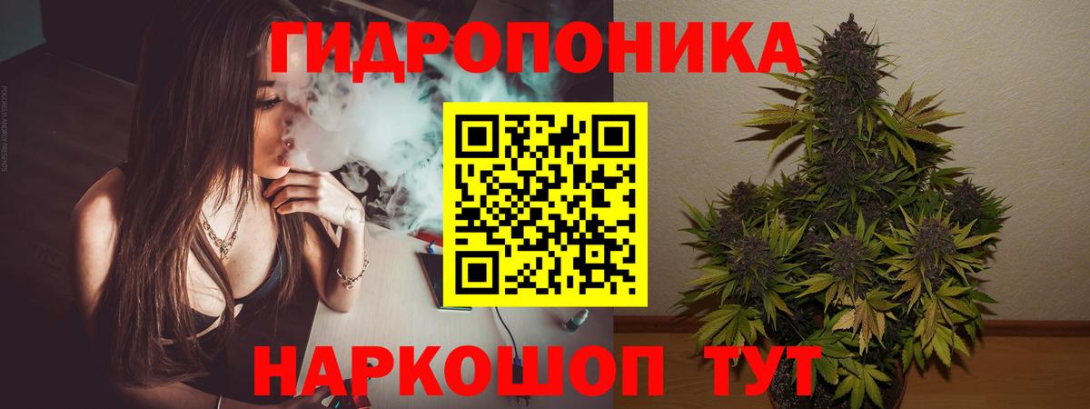 Бошки марихуана OG Kush Биробиджан
